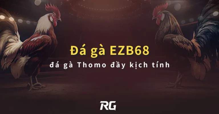 【Đá Gà EZB68】Sảnh đá gà RG – đá gà Thomo đầy kịch tính