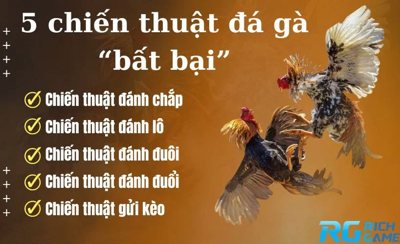 5 chiến thuật đá gà “bất bại”
