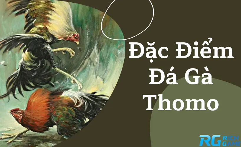Đặc điểm đá gà thomo