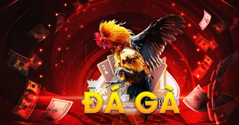 Đá gà và mẹo cược đá gà thắng lớn của cao thủ