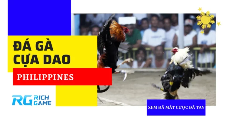 Đá gà cựa dao Philippines - Xem đã mắt, cược đã tay