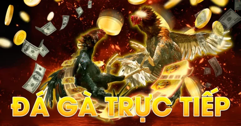 Đá gà trực tiếp: mách bạn link chơi và kinh nghiệm cược