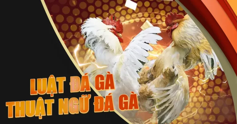 Luật đá gà Bắc Nam 2 miền, Luật đá gà online chi tiết