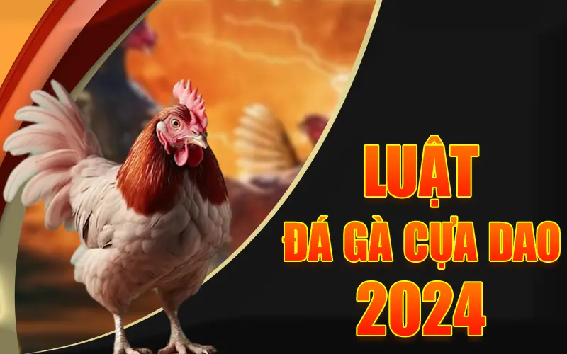 Luật đá gà cựa dao 2024