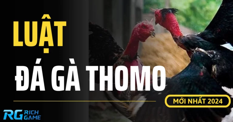 Luật chơi đá gà Thomo mới nhất 2024