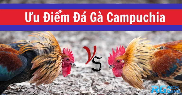 Ưu điểm khi chơi đá gà Campuchia dành cho kê thủ Việt Nam