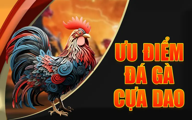 Ưu điểm đá gà cựa dao